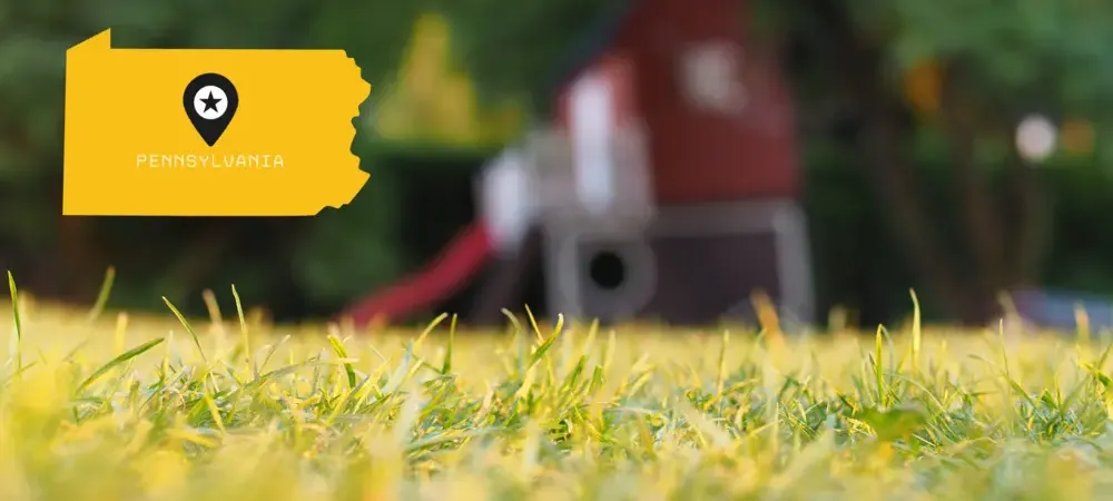 backyard in pennsylvania